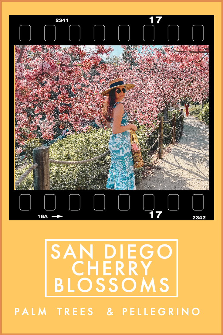 san diego cherry blossoms