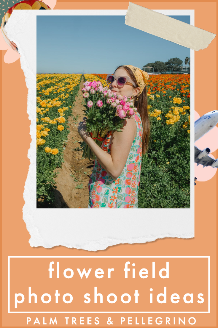 flower field photo ideas 