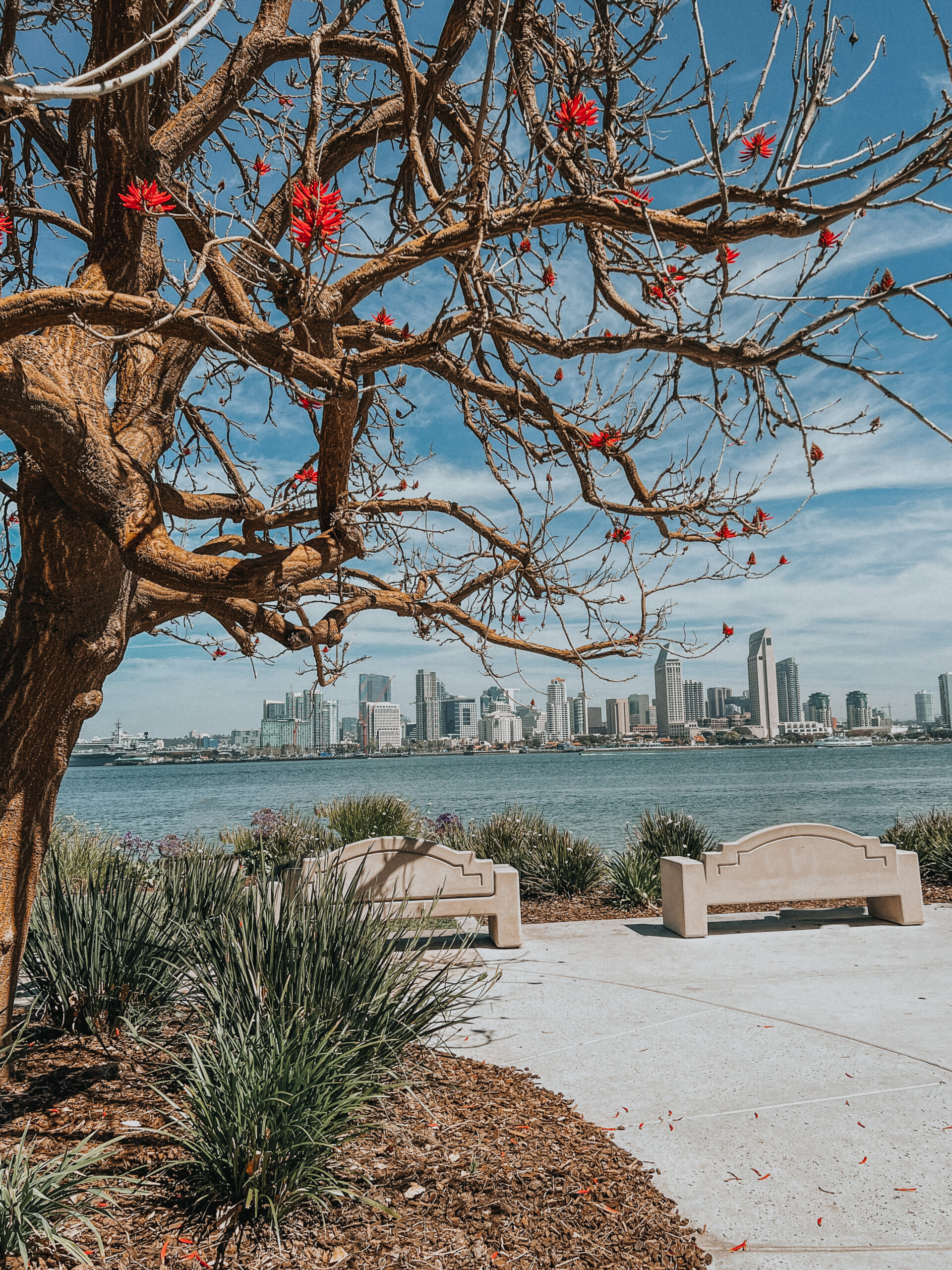 Things to do on Coronado Island