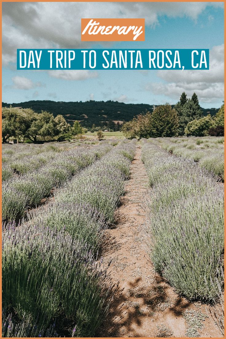 Day Trip to Santa Rosa, CA