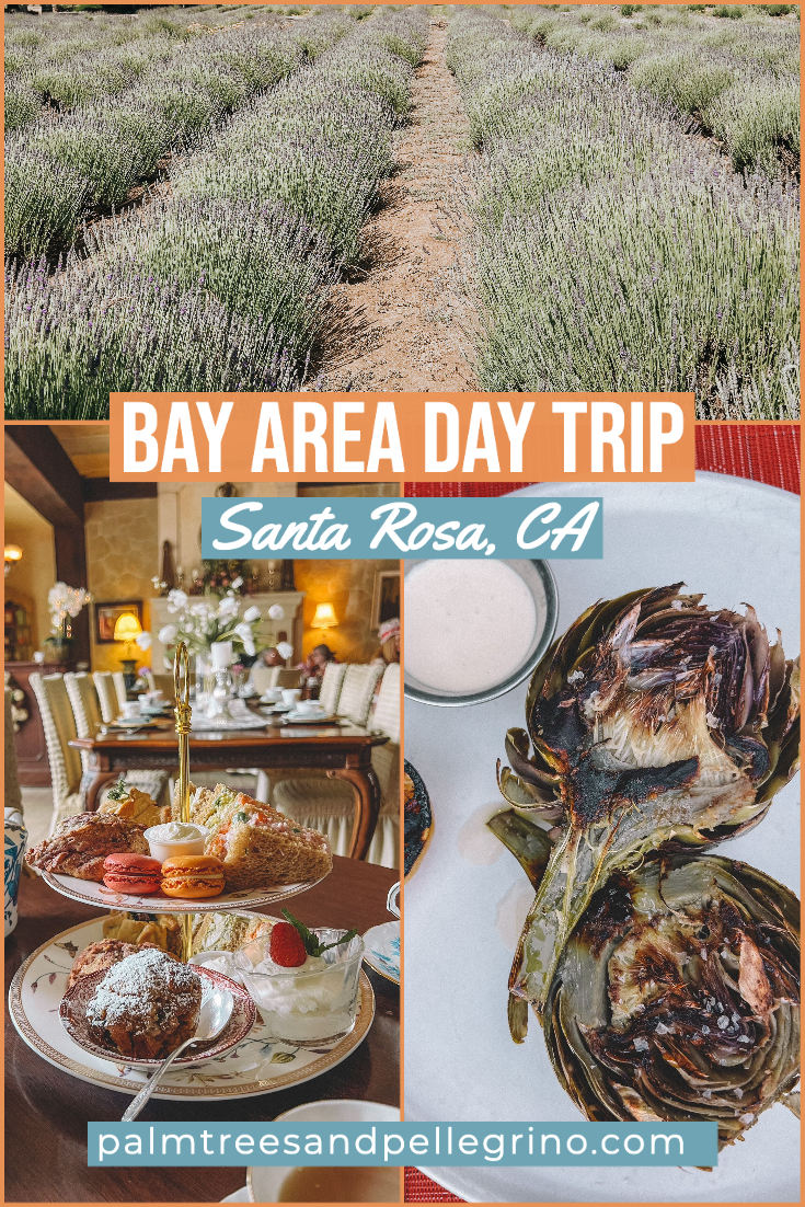 Day Trip to Santa Rosa, CA