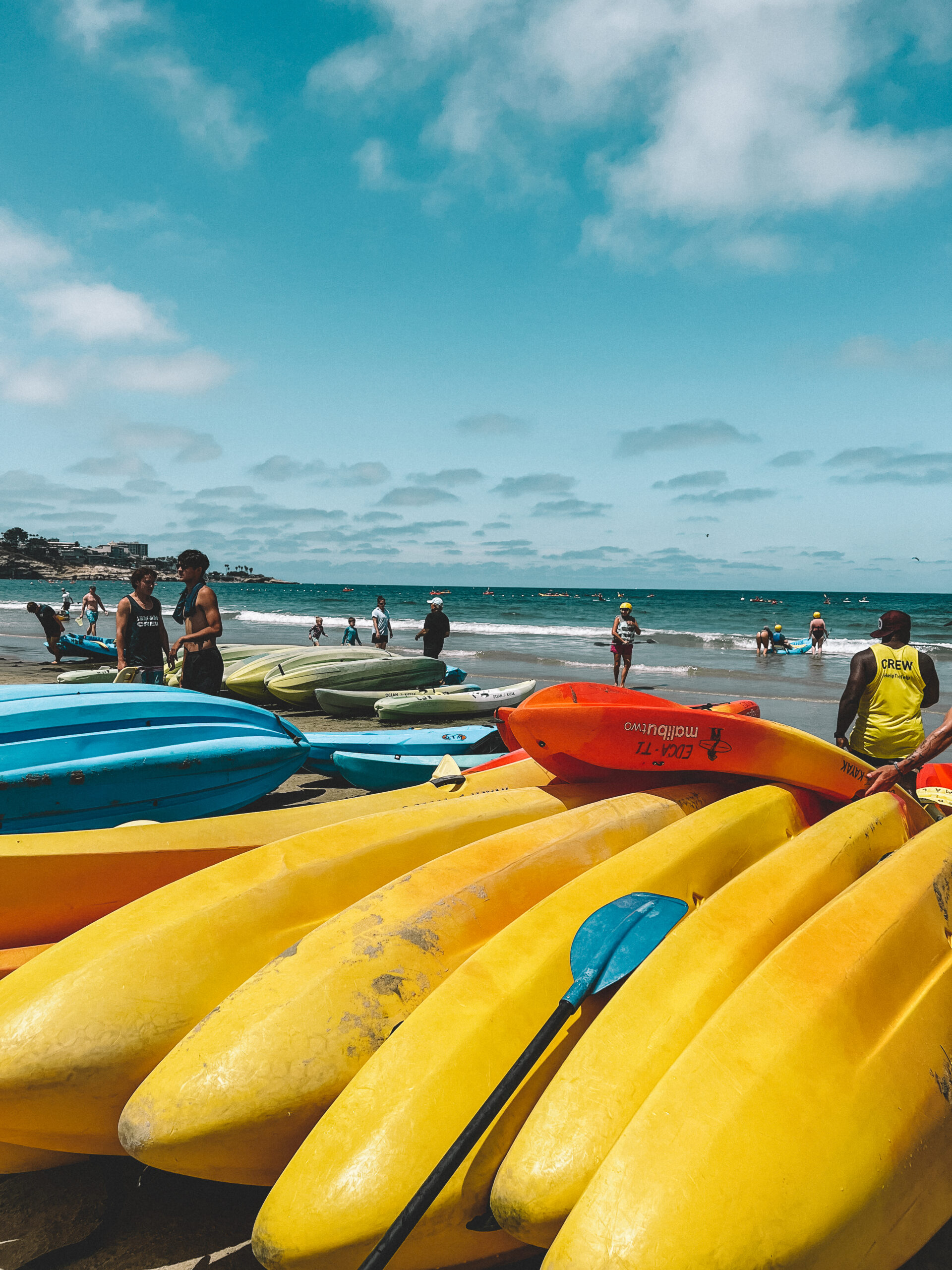 Your Ultimate Guide to 15+ Fun San Diego Activities