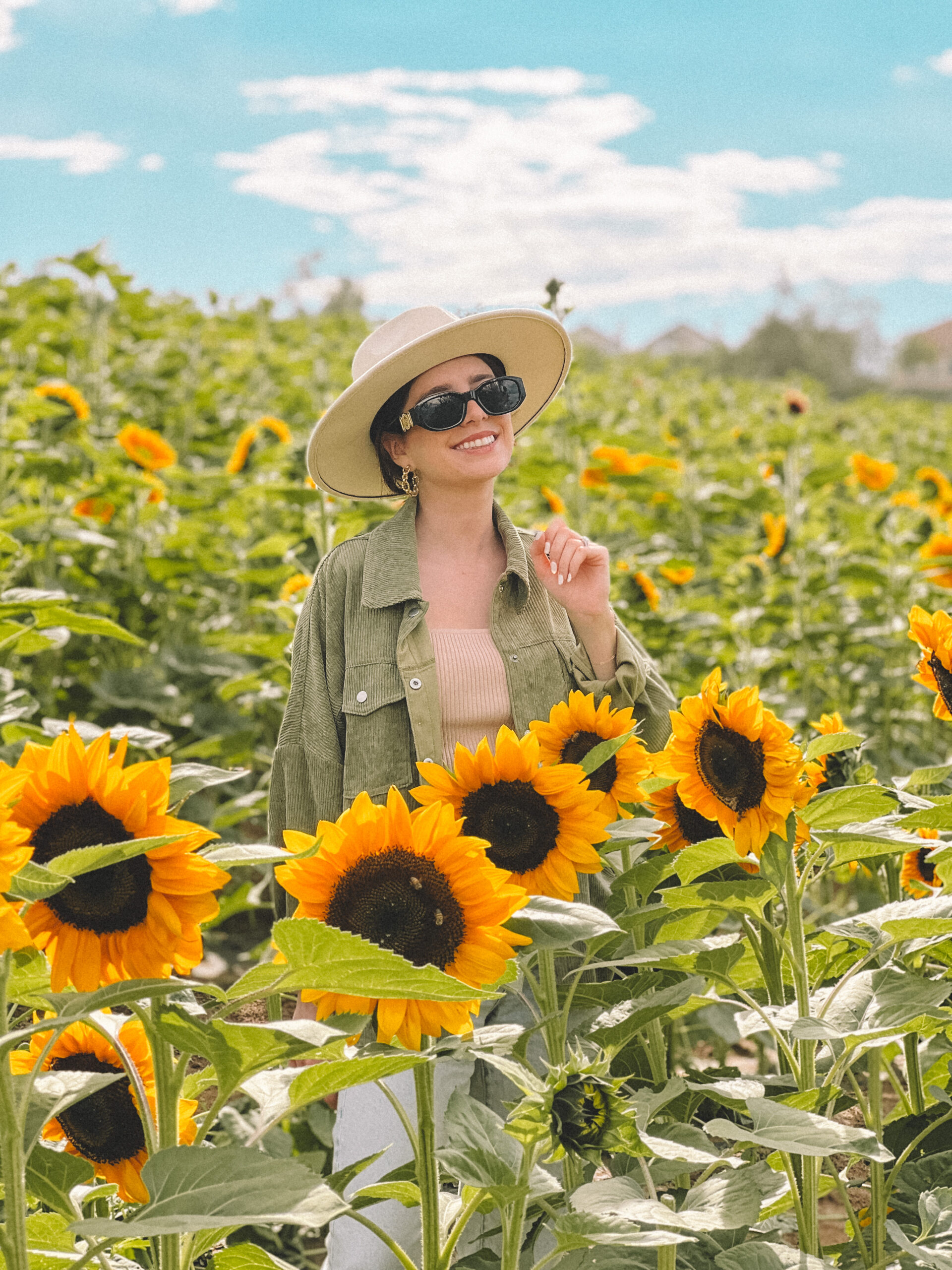 San Diego Fall Activities: San Diego sunflower fields