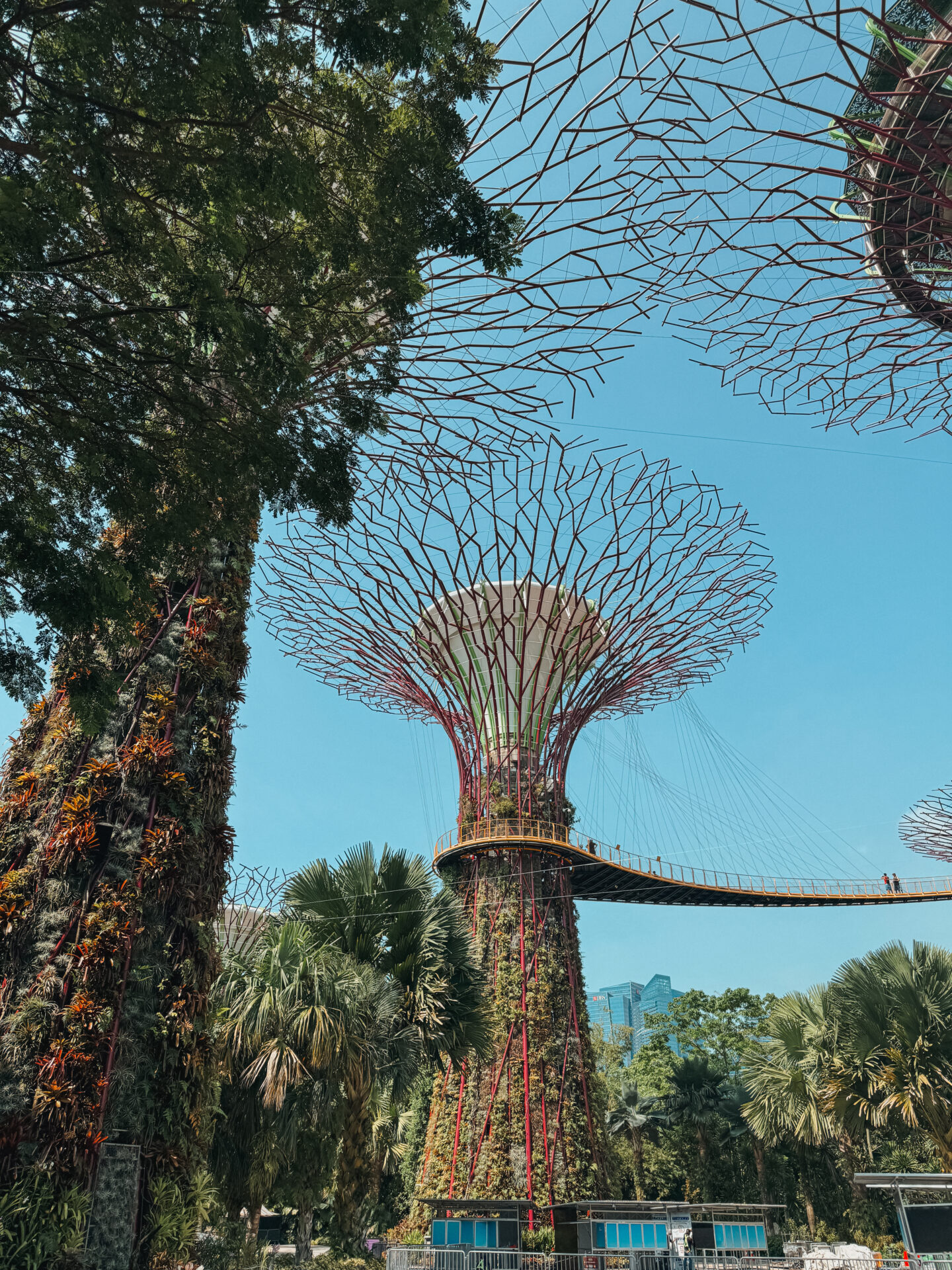 Singapore gardens by the bay 