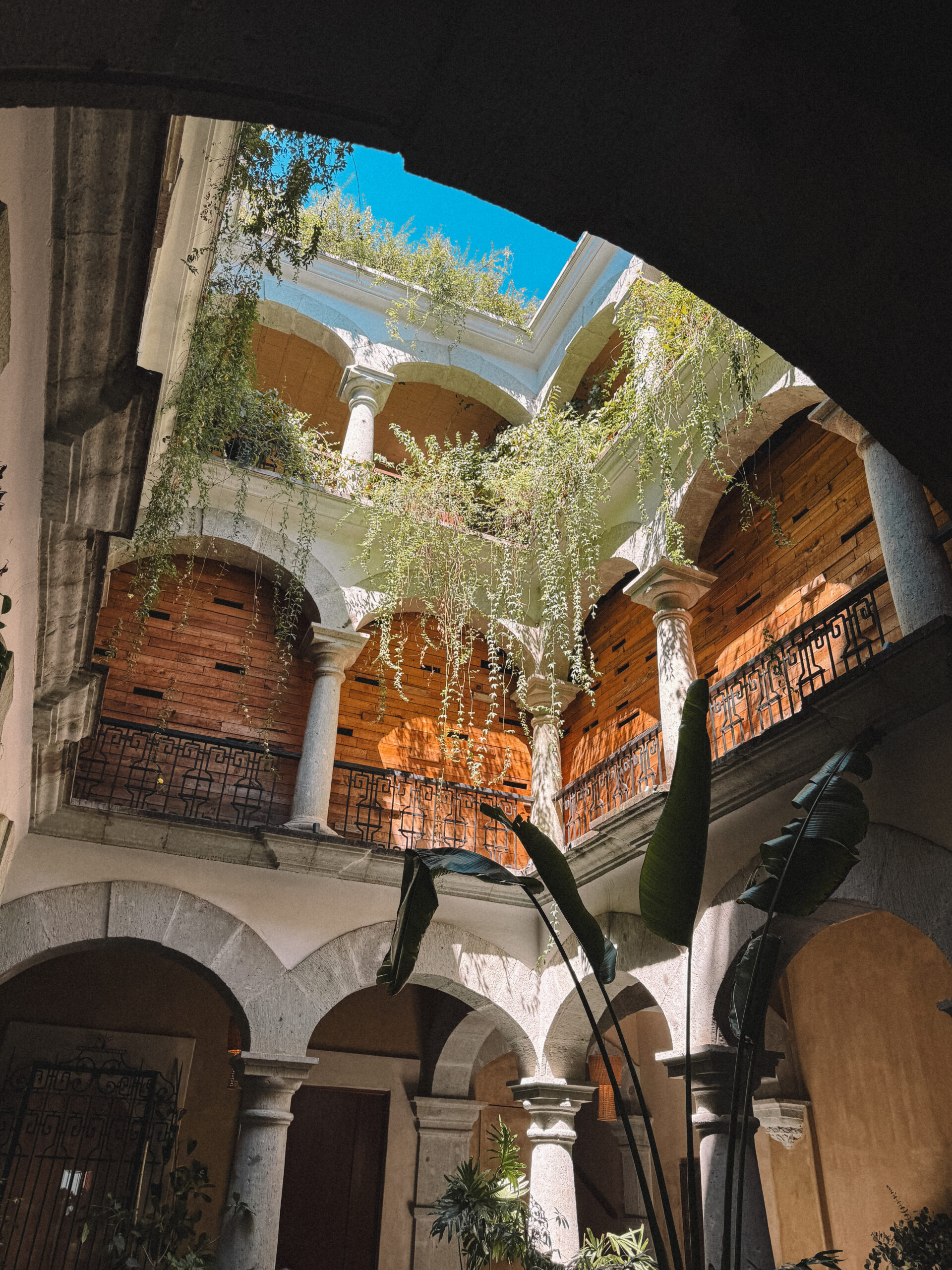 brunch in oaxaca