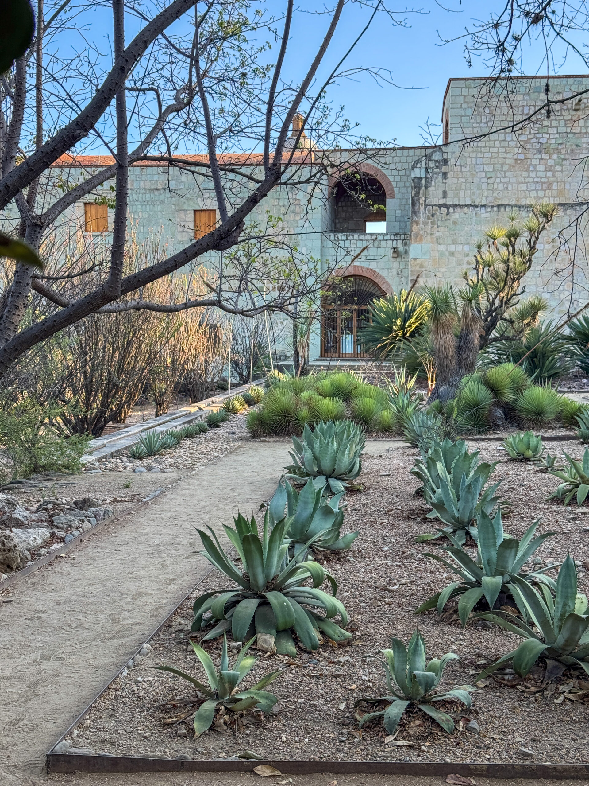 Things to do in Oaxaca, Mexico