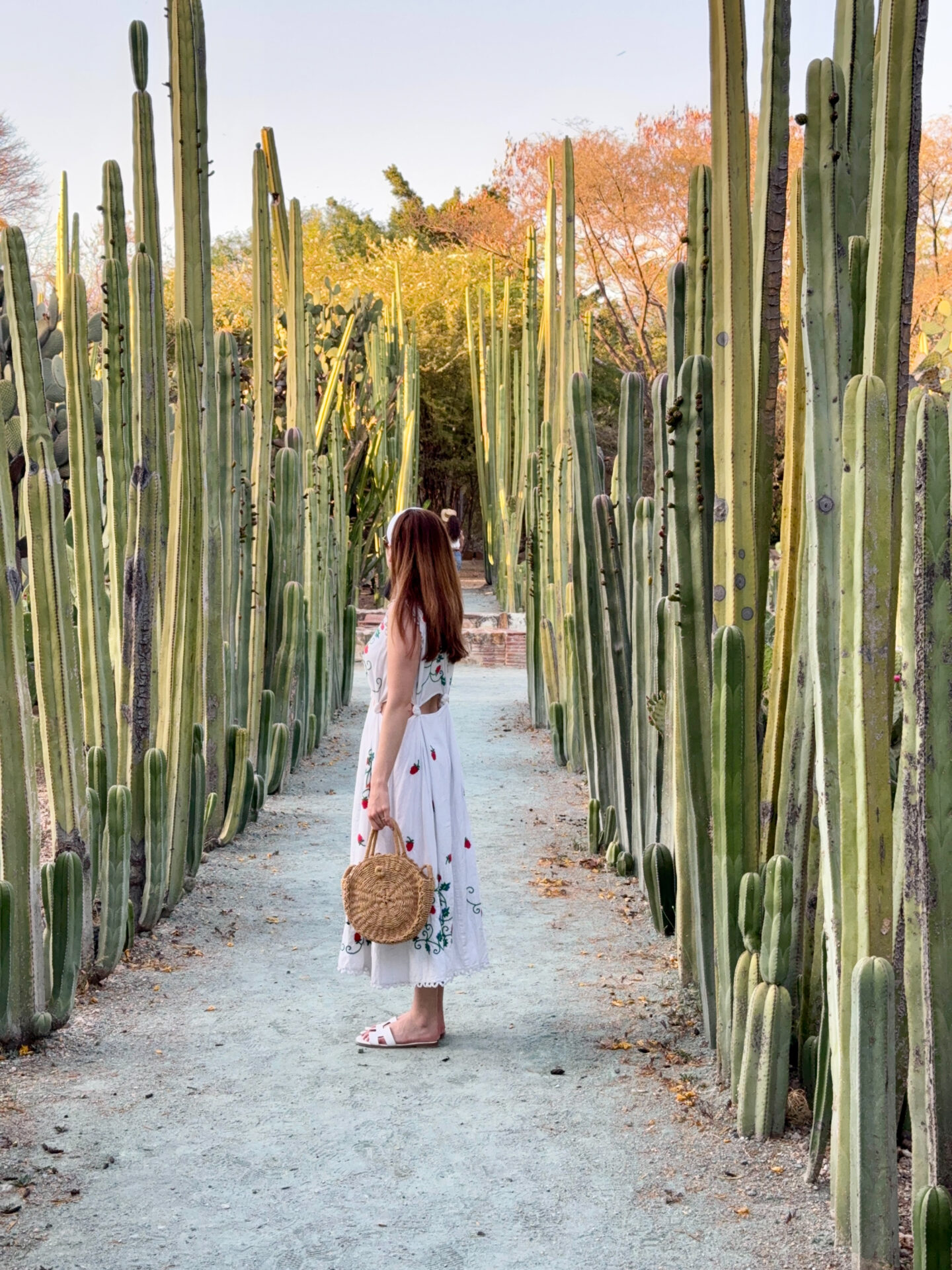 Things to do in Oaxaca, Mexico