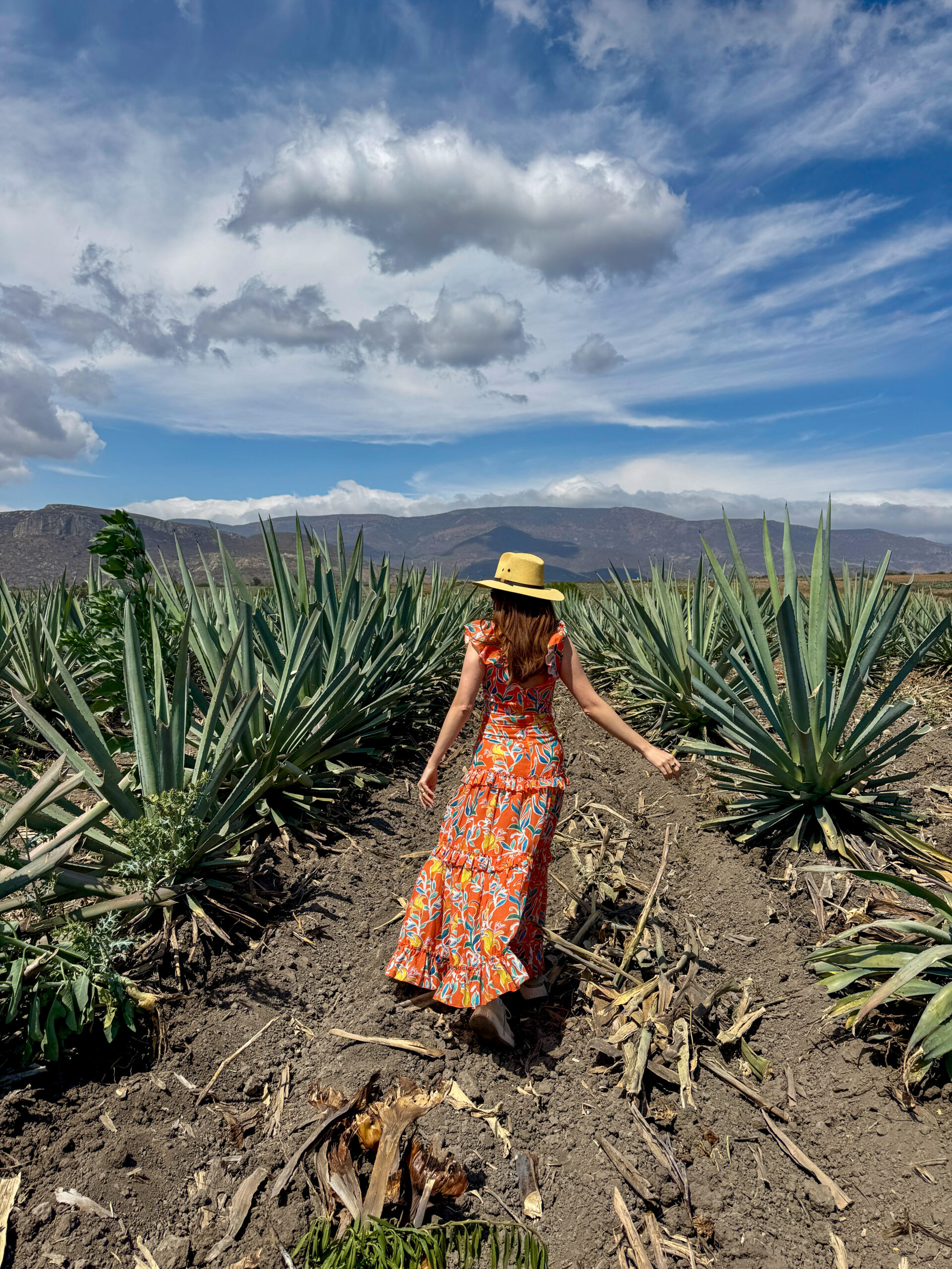 Mezcal tasting oaxaca