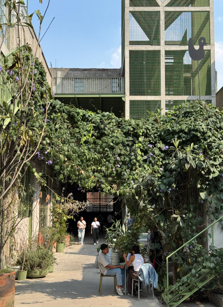 best mexico city coffee shops
