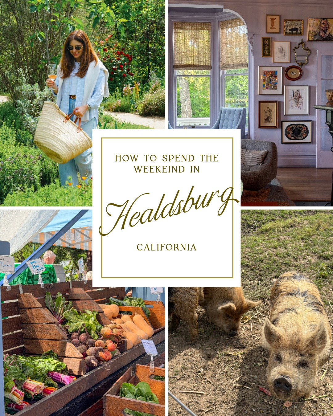 how to spend the weekend in healdsburg